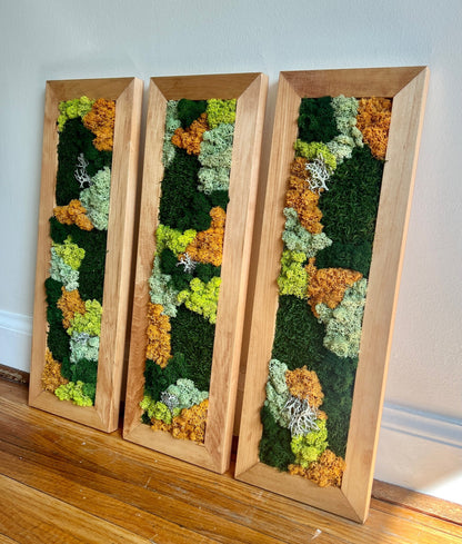 Moss Wall Art | Preserved Moss Art Framed | Moss Wall Decor | Moss Wall Sets | Large Rectangle Single to Six Set | Reindeer Moss Pole Moss