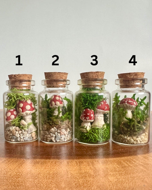 Mini Moss Terrarium | Reindeer Moss | Clay Polymer Mushrooms | Preserved Sheet Moss | Pole Moss | Rocks | Nature | Gift | Glass Terrarium