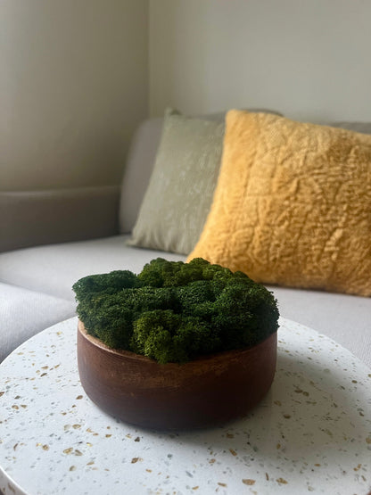 Moss Bowl Centrepiece | Reindeer Moss Bowl | Moss | Preserved Moss Gift  | Wood  Moss Bowl | One of a Kind | Moss Decor | Birthday Moss Gift