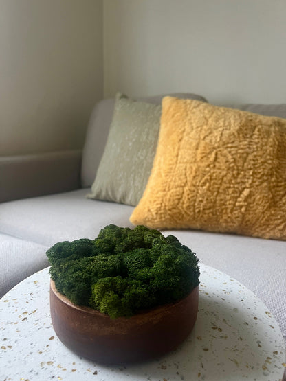 Moss Bowl Centrepiece | Reindeer Moss Bowl | Moss | Preserved Moss Gift  | Wood  Moss Bowl | One of a Kind | Moss Decor | Birthday Moss Gift