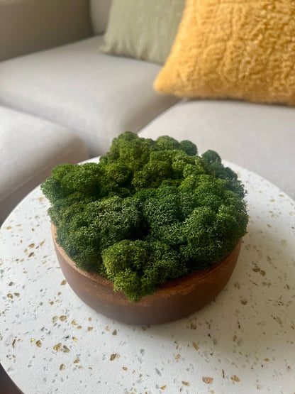 Moss Bowl Centrepiece | Reindeer Moss Bowl | Moss | Preserved Moss Gift  | Wood  Moss Bowl | One of a Kind | Moss Decor | Birthday Moss Gift