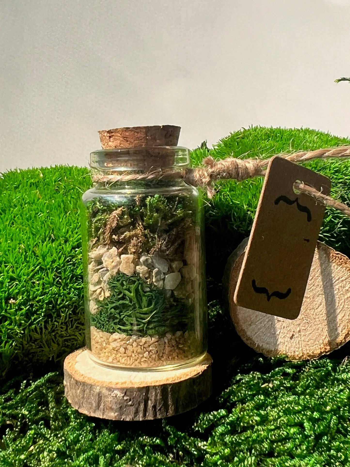 Mini Moss Terrarium | Reindeer Moss | Clay Polymer Mushrooms | Preserved Sheet Moss | Pole Moss | Rocks | Nature | Gift | Glass Terrarium