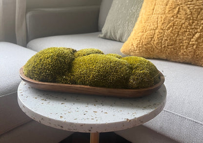 Moss Centerpiece | Pole Moss | Moss Planter | Preserved Moss Gift | Wood Nature Bowl | Yellow Pole Moss | Wedding Gift | Centrepieces