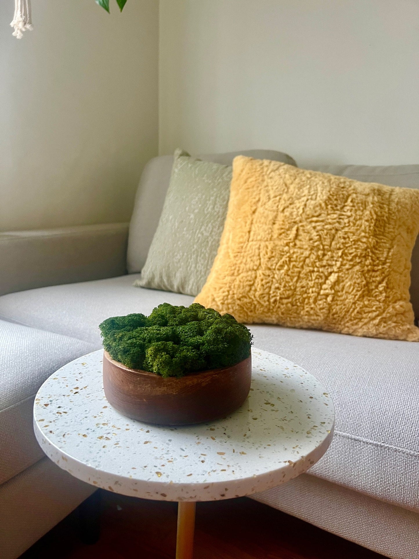 Moss Bowl Centrepiece | Reindeer Moss Bowl | Moss | Preserved Moss Gift  | Wood  Moss Bowl | One of a Kind | Moss Decor | Birthday Moss Gift