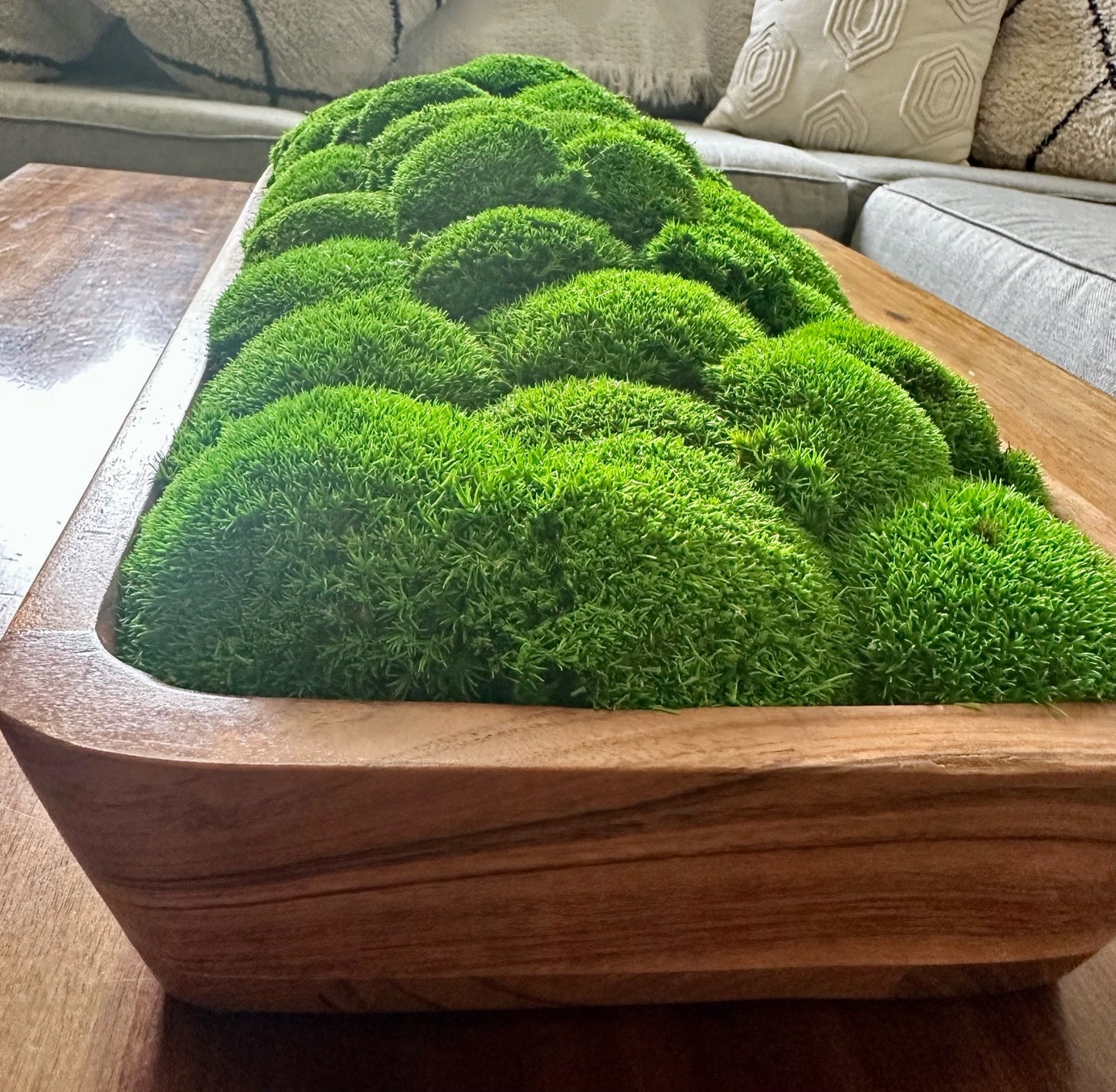 Moss Centerpiece Large | Pole Moss | Moss Planter | Preserved Moss Gift  | Wood Nature Bowl | Green Pole Moss | Gift | Wedding