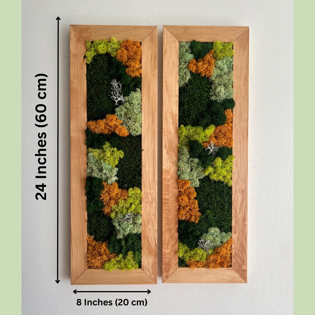 Moss Wall Art | Preserved Moss Art Framed | Moss Wall Decor | Moss Wall Sets | Large Rectangle Single to Six Set | Reindeer Moss Pole Moss