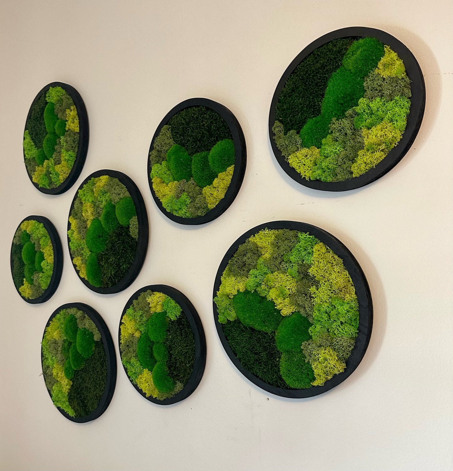 Moss Wall Art Circle Frame | Preserved Moss Art Framed | Moss Wall Decor | Single or Set of 2 | Reindeer & Sheet Moss | Mothers Day