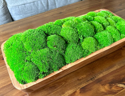 Moss Centerpiece Large | Pole Moss | Moss Planter | Preserved Moss Gift  | Wood Nature Bowl | Green Pole Moss | Gift | Wedding