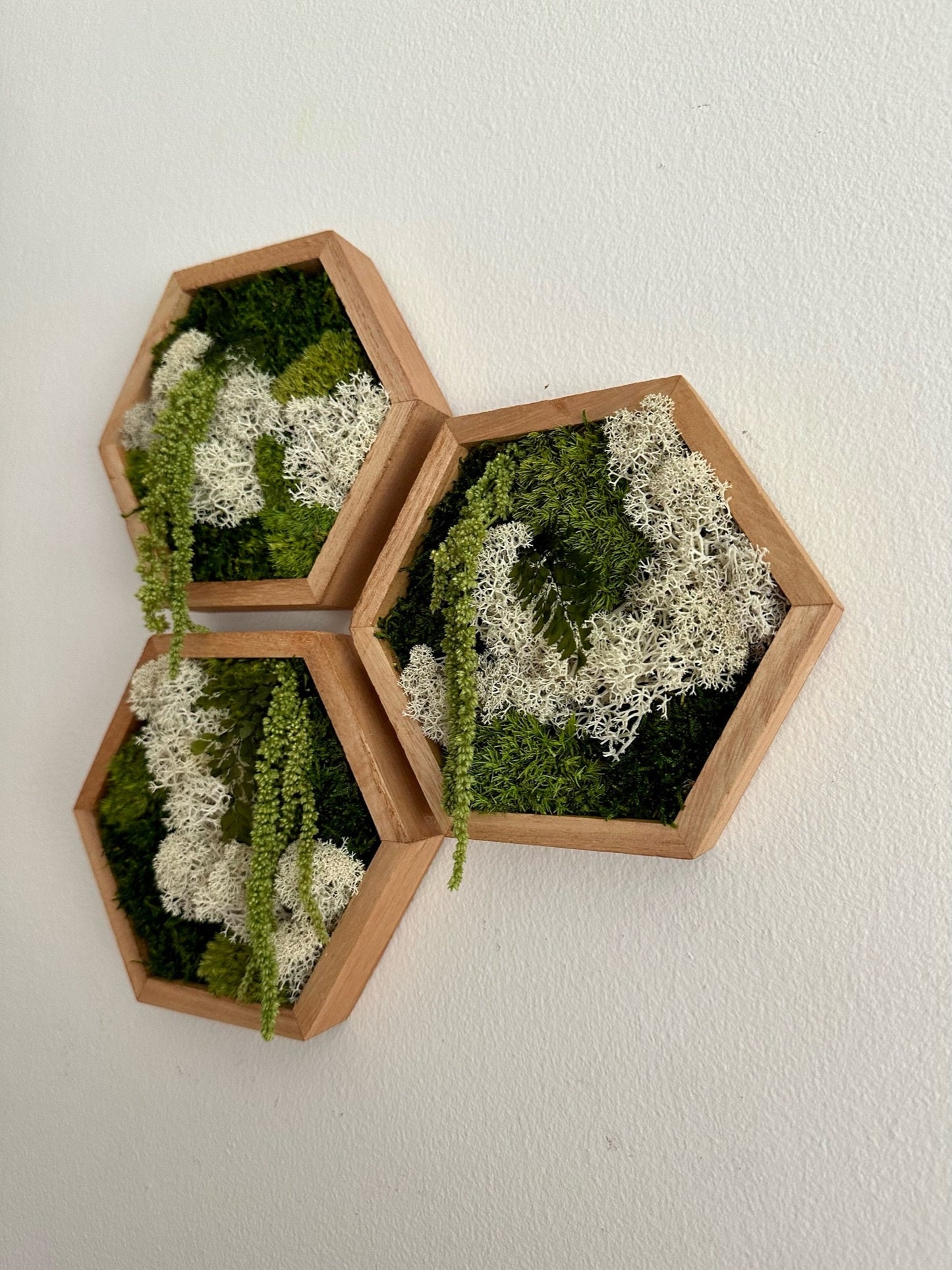 Moss Wall Art | Honeycomb Moss Single to Set of Twelve | Wood Hexagon | Reindeer, Pole, Sheet Moss Amaranthus | Moss Wall Art |  Unique Gift